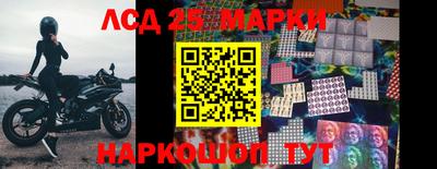 гидра Новодвинск