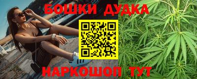 гидра Новодвинск