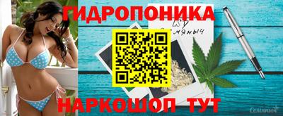 гашиш Новокубанск