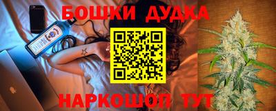 гидра Новодвинск