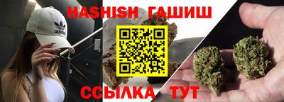 гидра Новодвинск